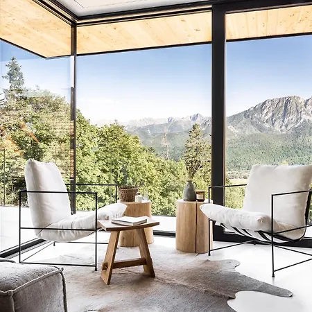 Salamandra Koscielisko